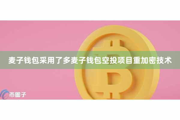 麦子钱包采用了多麦子钱包空投项目重加密技术