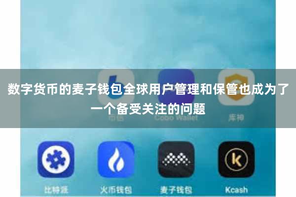 数字货币的麦子钱包全球用户管理和保管也成为了一个备受关注的问题