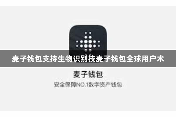 麦子钱包支持生物识别技麦子钱包全球用户术