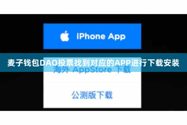 麦子钱包DAO投票找到对应的APP进行下载安装