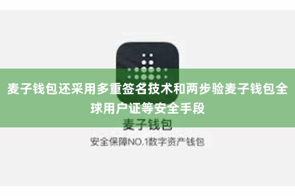 麦子钱包还采用多重签名技术和两步验麦子钱包全球用户证等安全手段