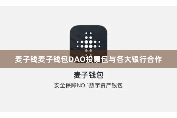 麦子钱麦子钱包DAO投票包与各大银行合作