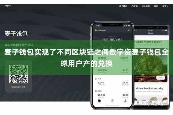 麦子钱包实现了不同区块链之间数字资麦子钱包全球用户产的兑换