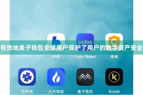 有效地麦子钱包全球用户保护了用户的数字资产安全