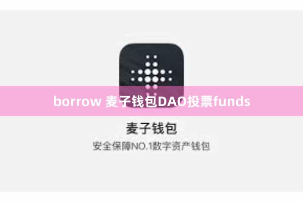 borrow 麦子钱包DAO投票funds