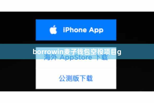 borrowin麦子钱包空投项目g
