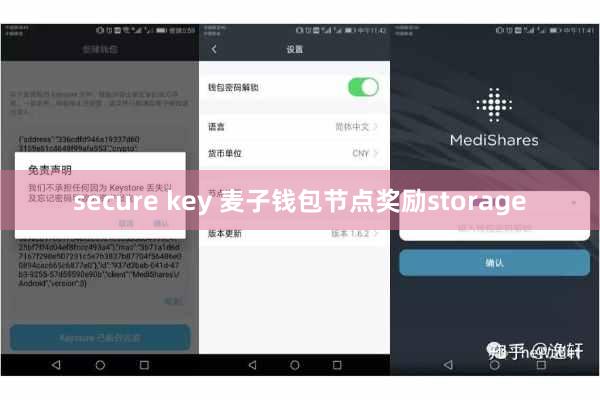 secure key 麦子钱包节点奖励storage