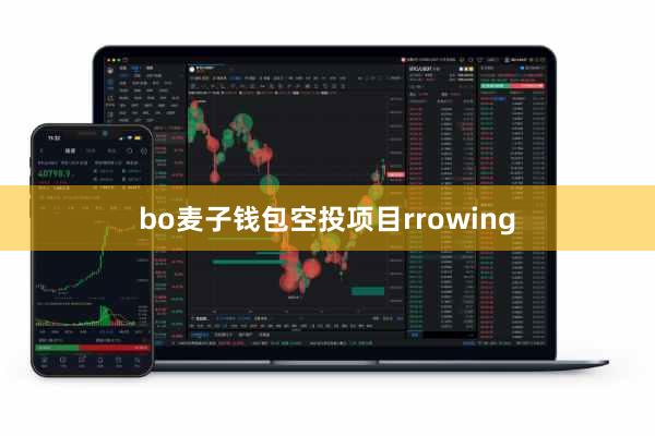 bo麦子钱包空投项目rrowing