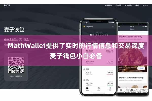 MathWallet提供了实时的行情信息和交易深度麦子钱包小白必备