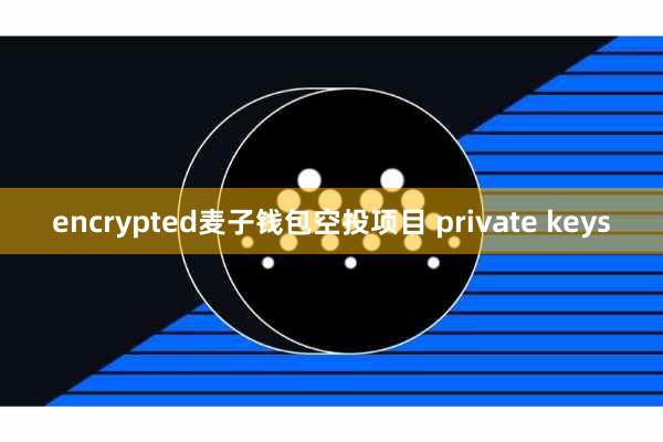 encrypted麦子钱包空投项目 private keys