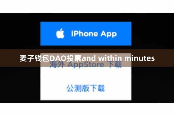 麦子钱包DAO投票and within minutes