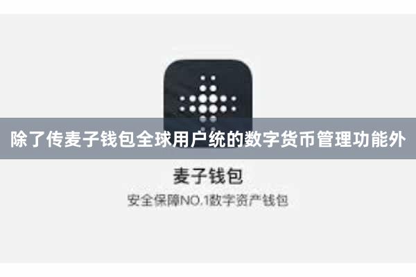 除了传麦子钱包全球用户统的数字货币管理功能外