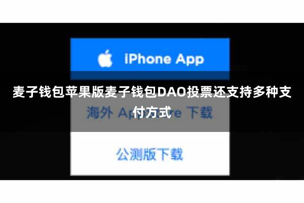 麦子钱包苹果版麦子钱包DAO投票还支持多种支付方式