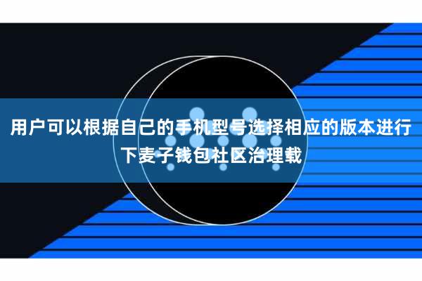 用户可以根据自己的手机型号选择相应的版本进行下麦子钱包社区治理载
