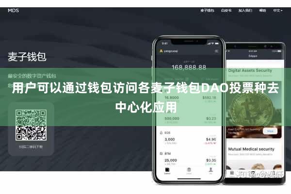 用户可以通过钱包访问各麦子钱包DAO投票种去中心化应用